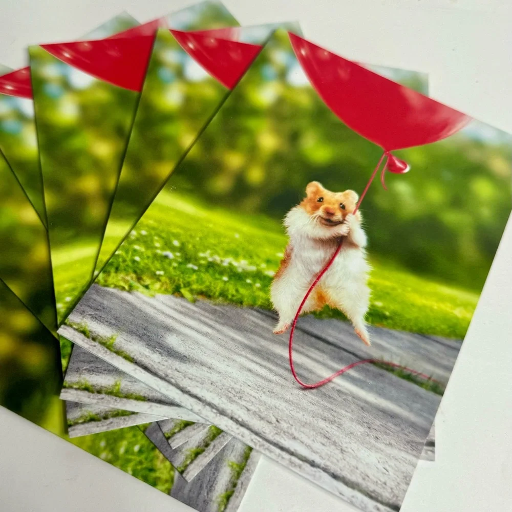 6 Avanti Greeting cards- hamster gerbil red balloon Holiday: Valentines Day